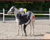 2-13JUIN 0013